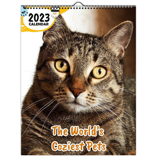 The World's Coziest Pets: 2023 Wall Calendar