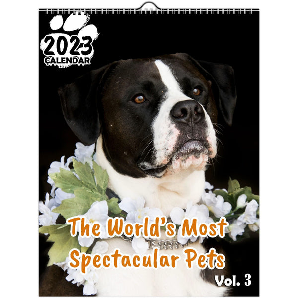 The World's Most Spectacular Pets Volume Three: 2023 Wall Calendar