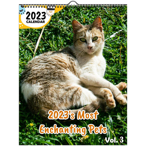 2023's Most Enchanting Pets Volume Three: 2023 Wall Calendar