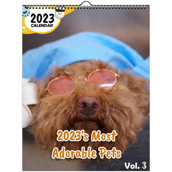 2023's Most Adorable Pets Volume Three: 2023 Wall Calendar