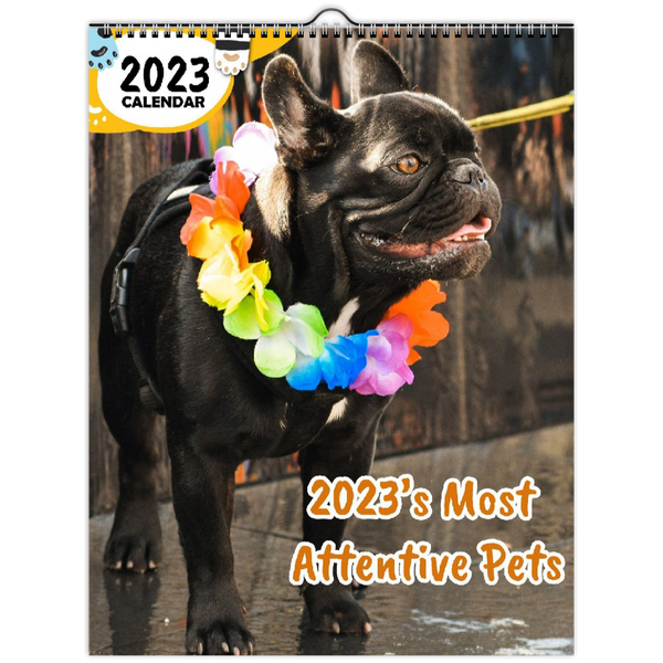 2023's Most Attentive Pets: 2023 Wall Calendar