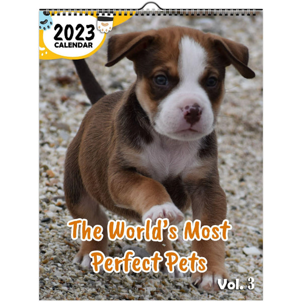 The World's Most Perfect Pets Volume Three: 2023 Wall Calendar