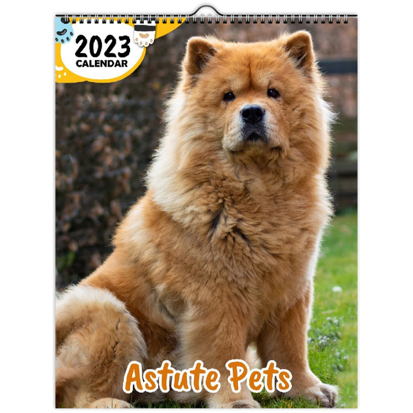 Astute Pets: 2023 Wall Calendar
