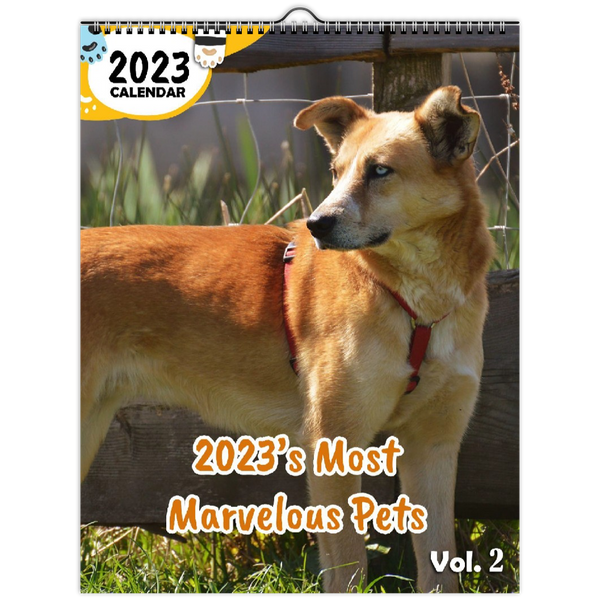 2023's Most Marvelous Pets Volume Two: 2023 Wall Calendar