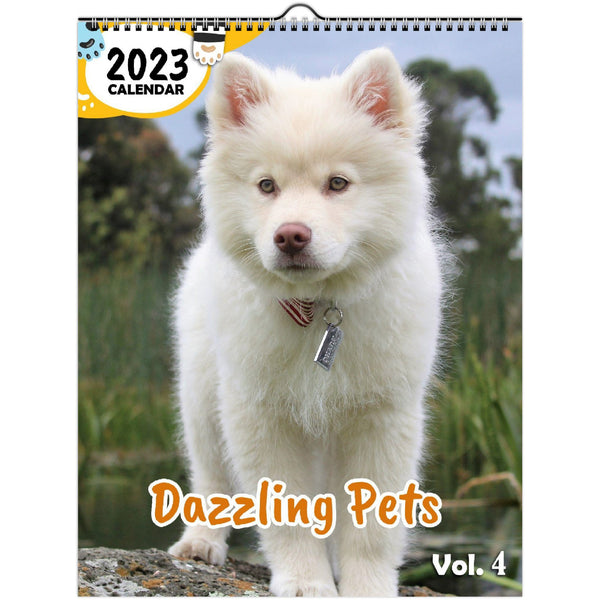 Dazzling Pets Volume Four: 2023 Wall Calendar