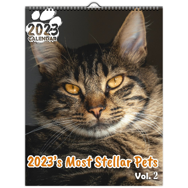 2023's Most Stellar Pets Volume Two: 2023 Wall Calendar
