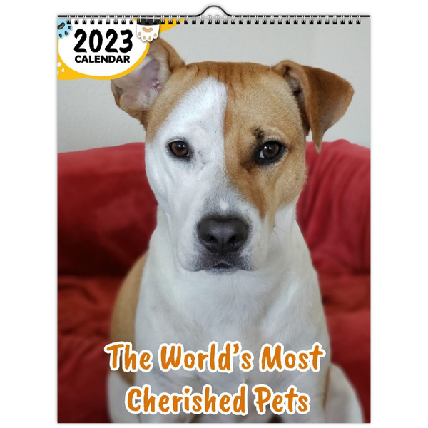 The World's Most Cherished Pets: 2023 Wall Calendar