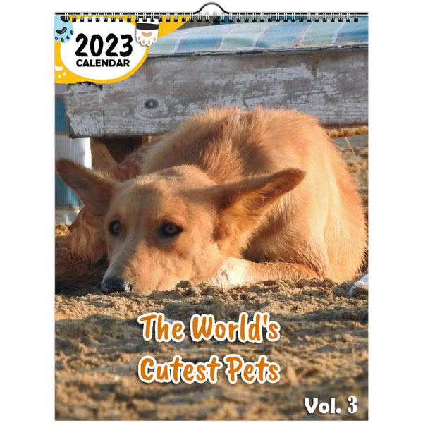 The World's Cutest Pets Volume Three: 2023 Wall Calendar