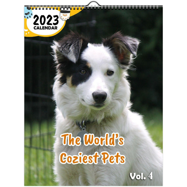 The World's Coziest Pets Volume Four: 2023 Wall Calendar