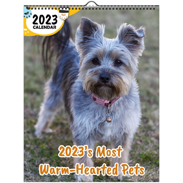 2023's Most Warm-Hearted Pets: 2023 Wall Calendar