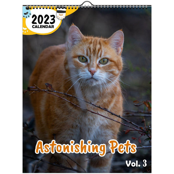 Astonishing Pets Volume Three: 2023 Wall Calendar