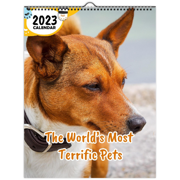 The World's Most Terrific Pets: 2023 Wall Calendar