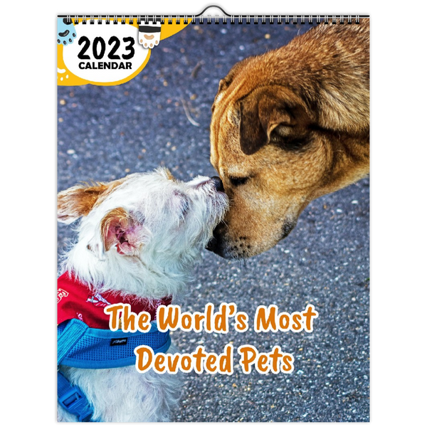 The World's Most Devoted Pets: 2023 Wall Calendar