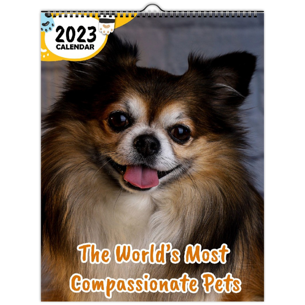 The World's Most Compassionate Pets: 2023 Wall Calendar
