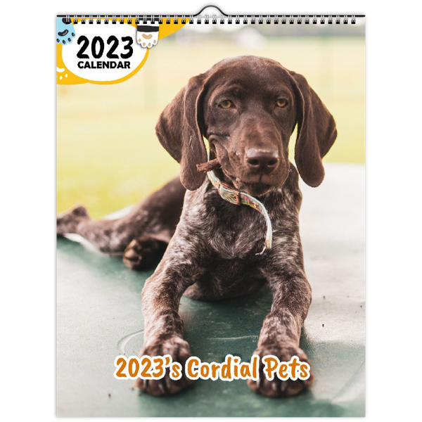 2023's Cordial Pets: 2023 Wall Calendar