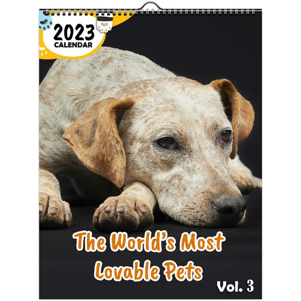 The World's Most Lovable Pets Volume Three: 2023 Wall Calendar