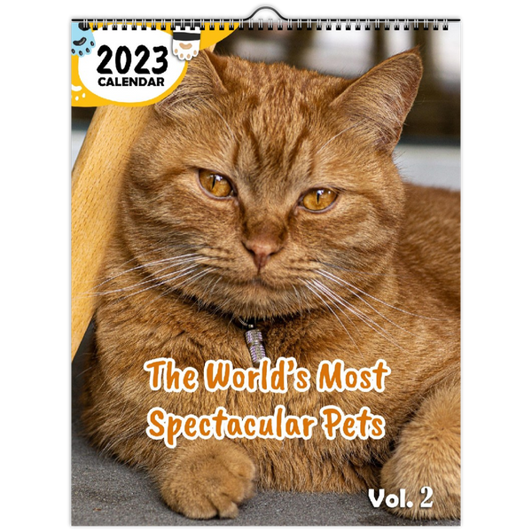 The World's Most Spectacular Pets Volume Two: 2023 Wall Calendar