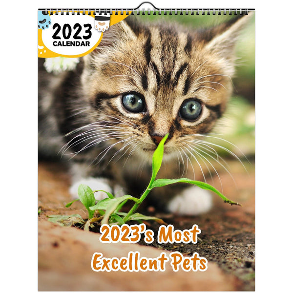 2023's Most Excellent Pets: 2023 Wall Calendar