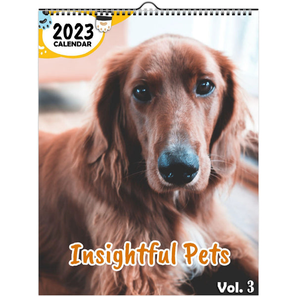 Insightful Pets Volume Three: 2023 Wall Calendar