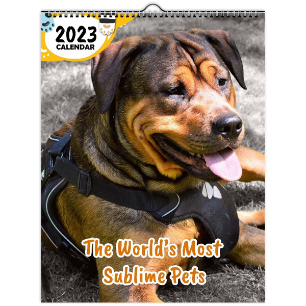 The World's Most Sublime Pets: 2023 Wall Calendar