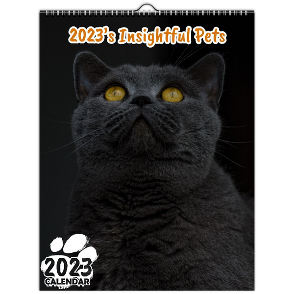 2023's Insightful Pets: 2023 Wall Calendar