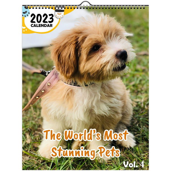 The World's Most Stunning Pets Volume Four: 2023 Wall Calendar