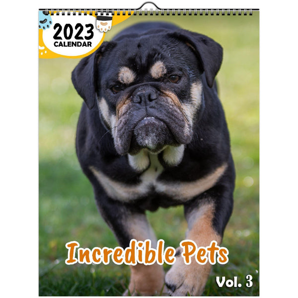 Incredible Pets Volume Three: 2023 Wall Calendar