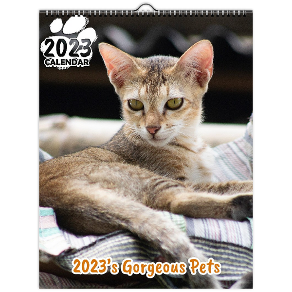 2023's Gorgeous Pets: 2023 Wall Calendar