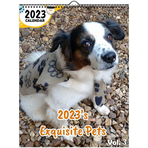 2023's Exquisite Pets Volume Three: 2023 Wall Calendar