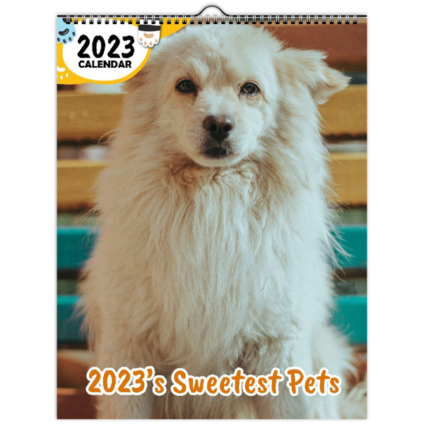 2023's Sweetest Pets: 2023 Wall Calendar