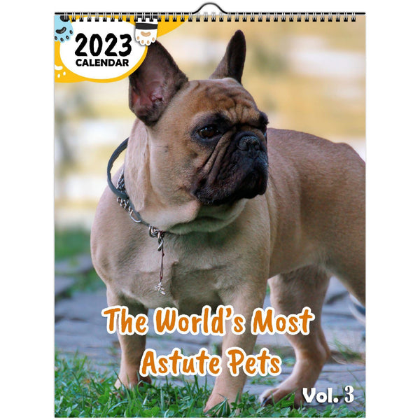 The World's Most Astute Pets Volume Three: 2023 Wall Calendar