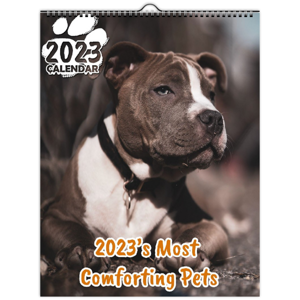 2023's Most Comforting Pets: 2023 Wall Calendar