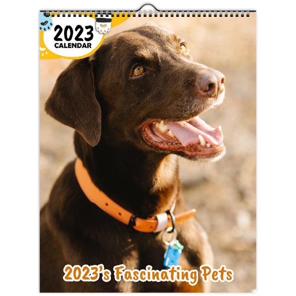 2023's Fascinating Pets: 2023 Wall Calendar