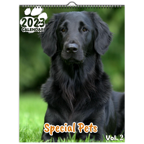 Special Pets Volume Two: 2023 Wall Calendar