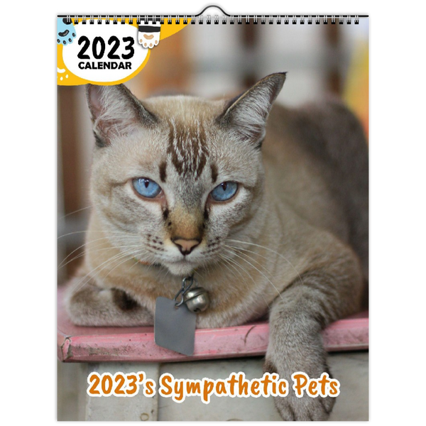 2023's Sympathetic Pets: 2023 Wall Calendar
