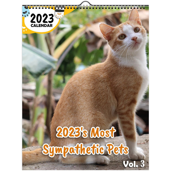 2023's Most Sympathetic Pets Volume Three: 2023 Wall Calendar