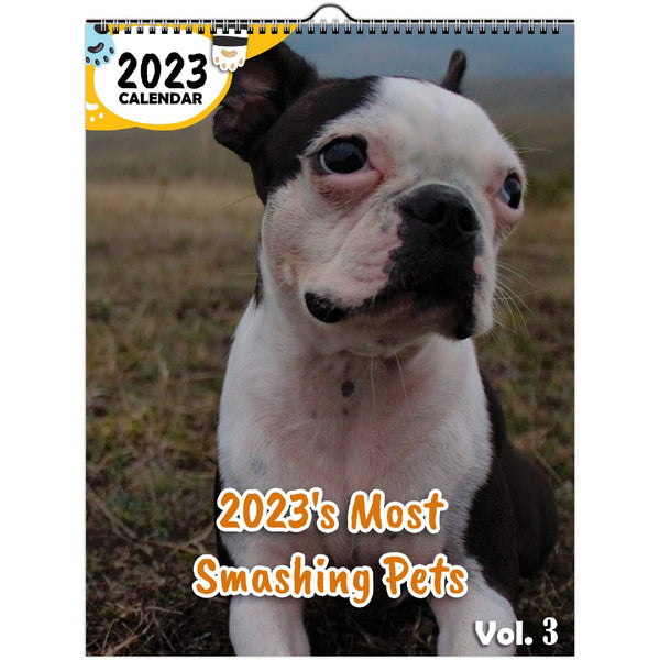 2023's Most Smashing Pets Volume Three: 2023 Wall Calendar
