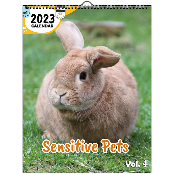 Sensitive Pets Volume Four: 2023 Wall Calendar