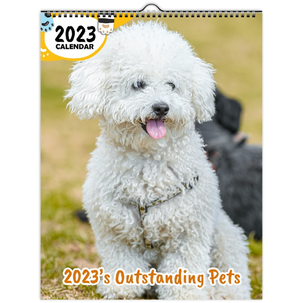 2023's Outstanding Pets: 2023 Wall Calendar