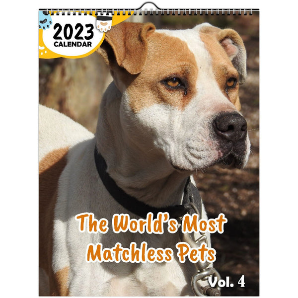 The World's Most Matchless Pets Volume Four: 2023 Wall Calendar