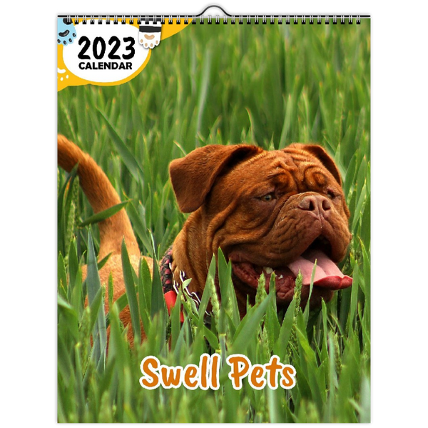 Swell Pets: 2023 Wall Calendar