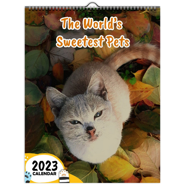 The World's Sweetest Pets: 2023 Wall Calendar