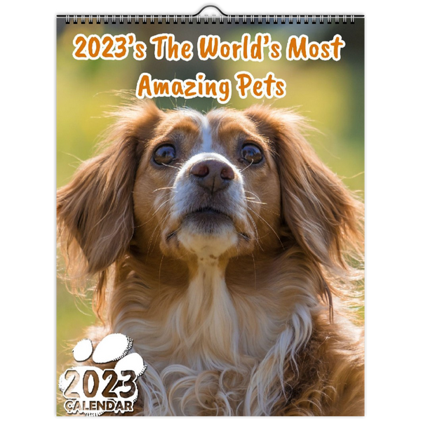 2023's The World's Most Amazing Pets: 2023 Wall Calendar