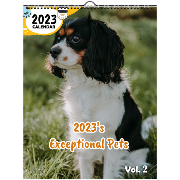 2023's Exceptional Pets Volume Two: 2023 Wall Calendar