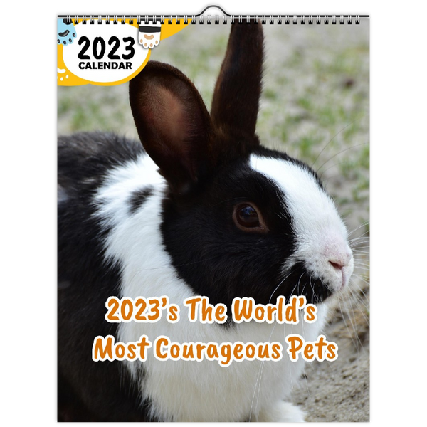 2023's The World's Most Courageous Pets: 2023 Wall Calendar