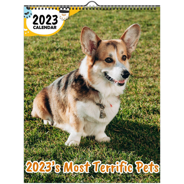 2023's Most Terrific Pets: 2023 Wall Calendar