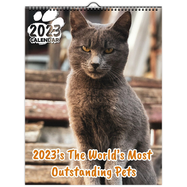 2023's The World's Most Outstanding Pets: 2023 Wall Calendar