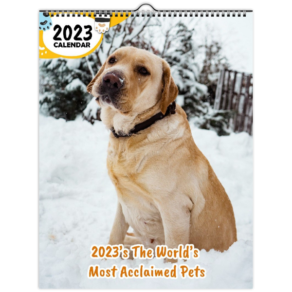 2023's The World's Most Acclaimed Pets: 2023 Wall Calendar