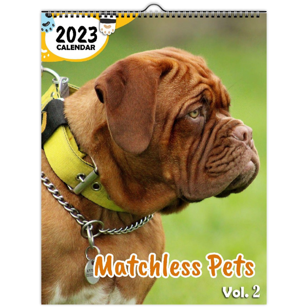 Matchless Pets Volume Two: 2023 Wall Calendar