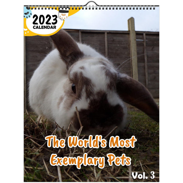 The World's Most Exemplary Pets Volume Three: 2023 Wall Calendar